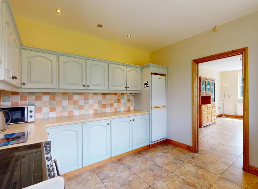 Shandrum, Killenagh, Ardamine, Y25AP22