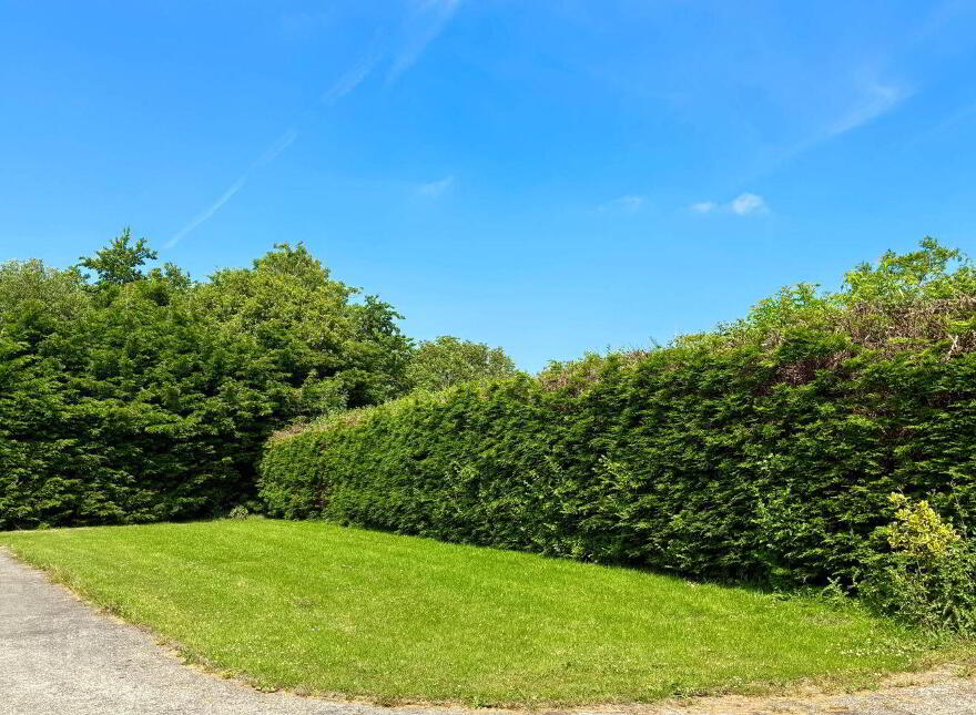 Shandrum, Killenagh, Ardamine, Y25AP22