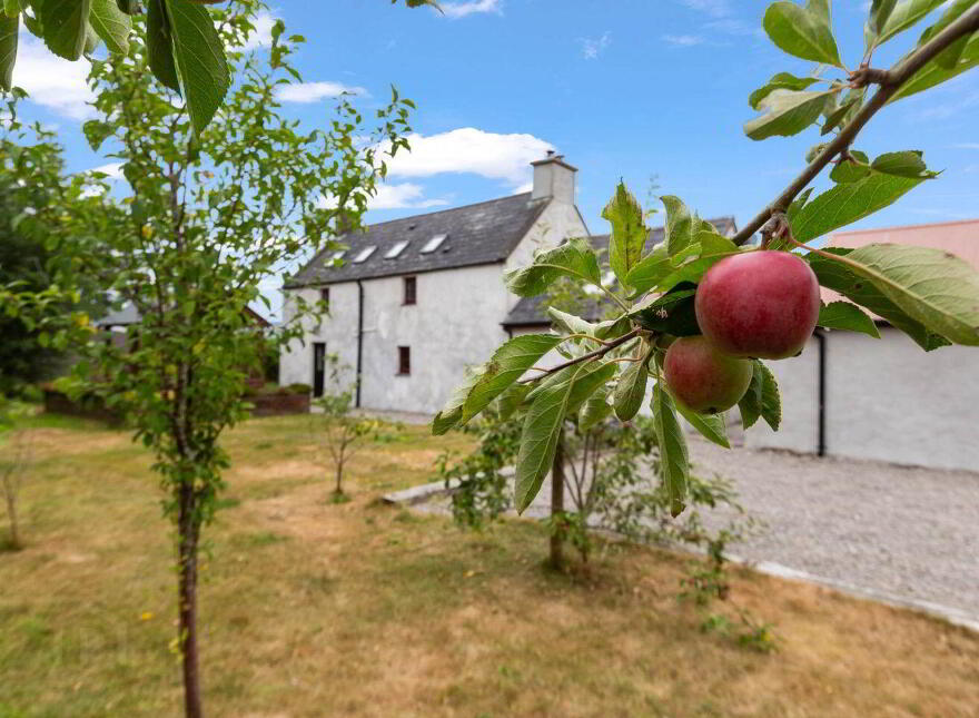 Portrushen Lower, Kiltegan, W91X271