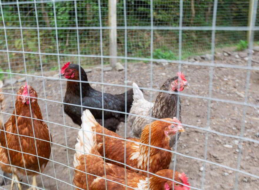 Ounadilly, Ballinahoun, Kilmuckridge, Y25HD89