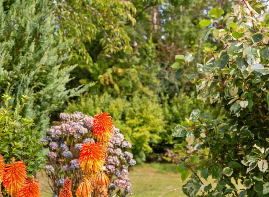 Forties, Ferns, The Harrow, Y21X971