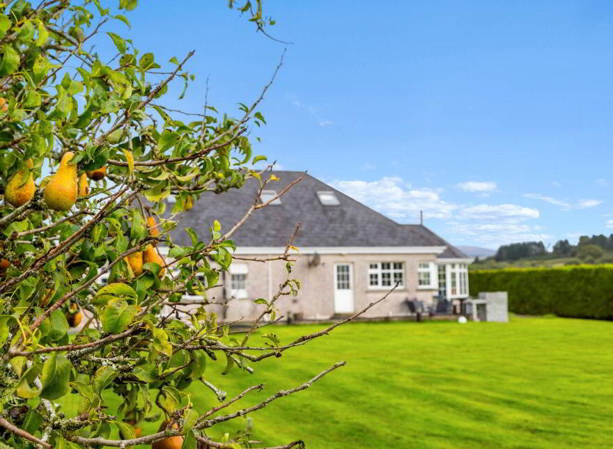 Rathnagrew Upper, Hacketstown, R93HW56