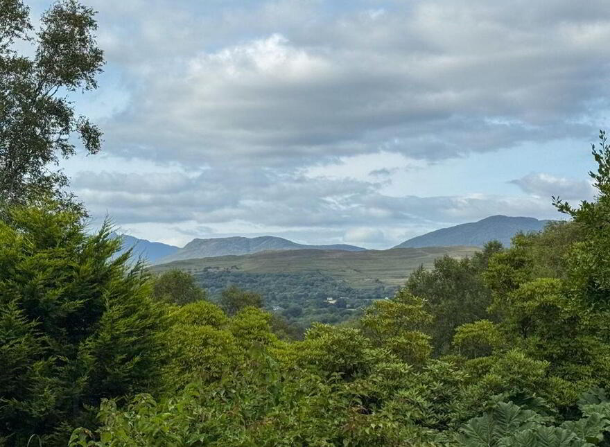 Coromandel, Killaha, Kenmare, V93YK83