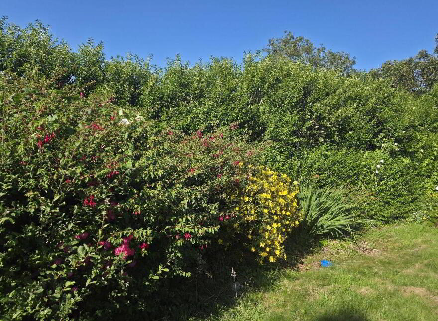 6 Gallagher Terrace, Tubbercurry, F91H020
