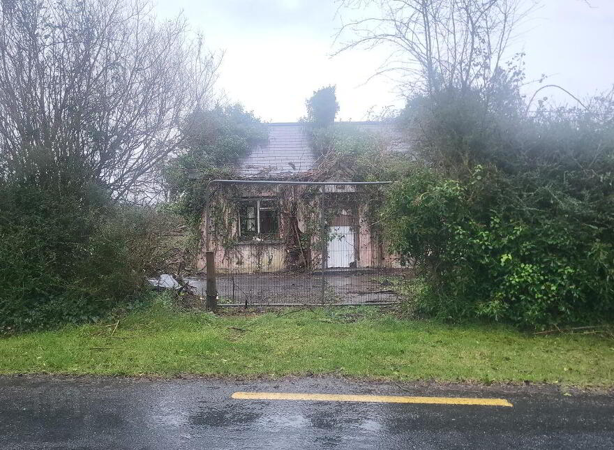 Shannon Eighter, Sligo photo