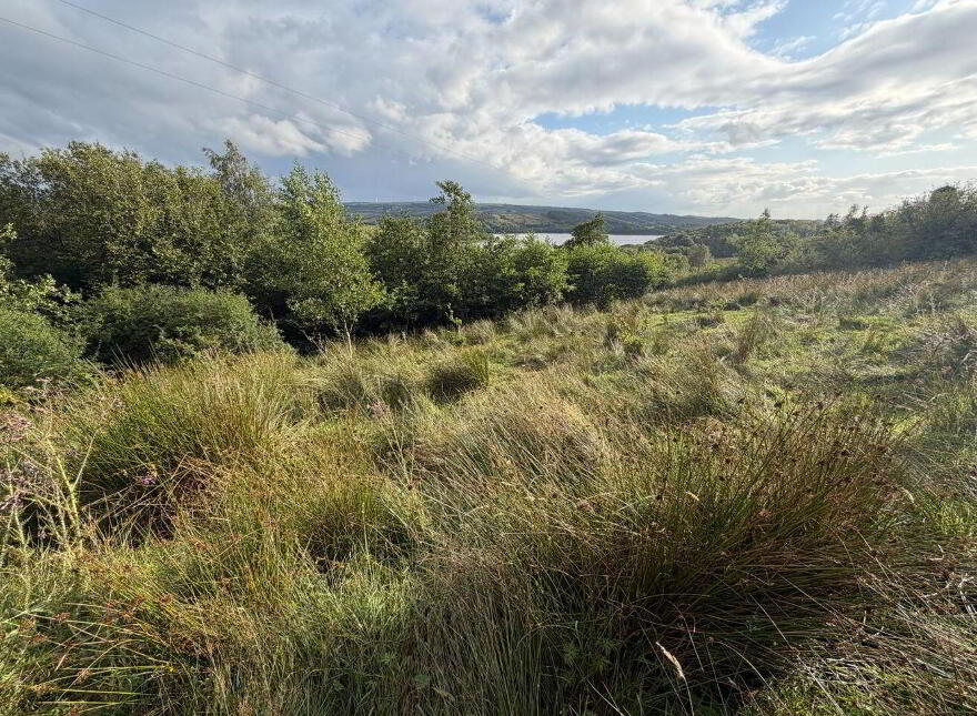 Leonagh, Drumkeeran