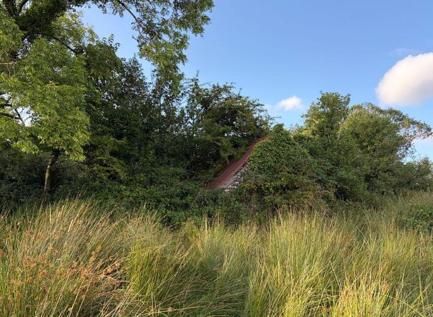 Leonagh, Drumkeeran