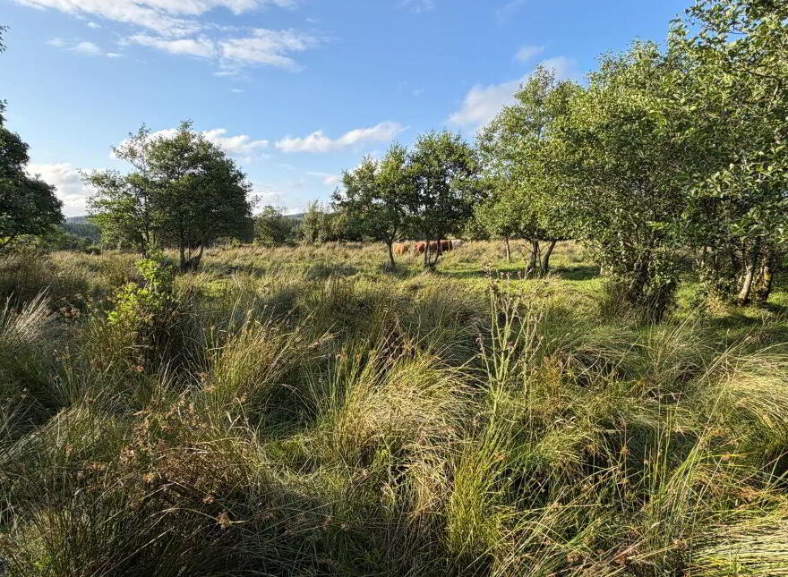 Leonagh, Drumkeeran