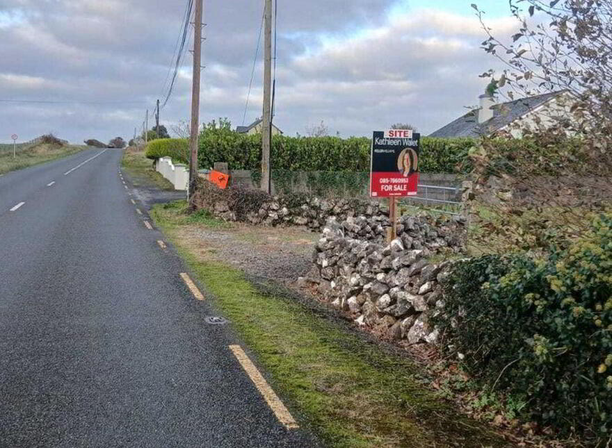 Costellospark, Monivea, H65A328