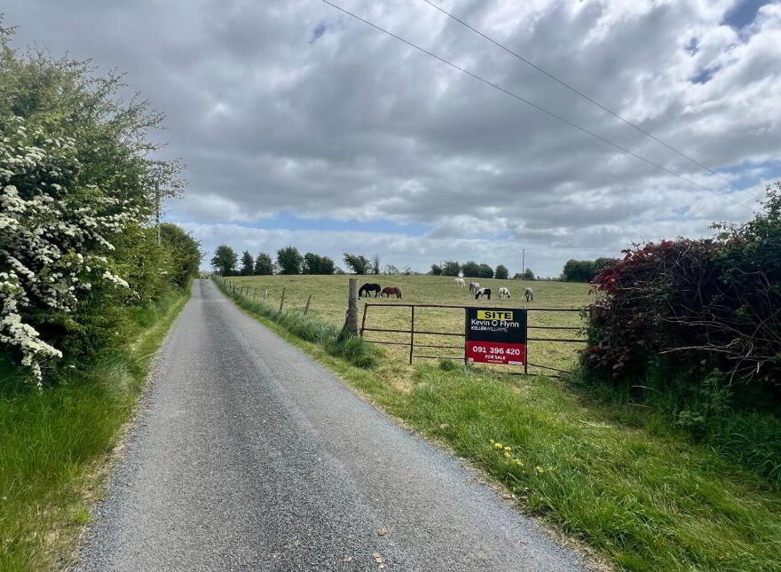 Earlspark, Ballinasloe, Ballydangan, H53T886