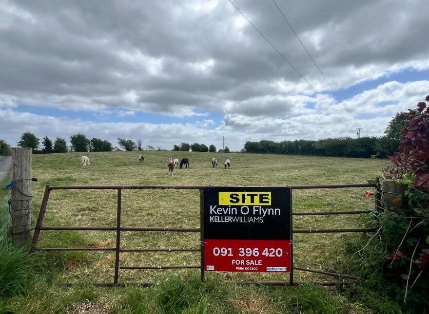 Earlspark, Ballinasloe, Ballydangan, H53T886