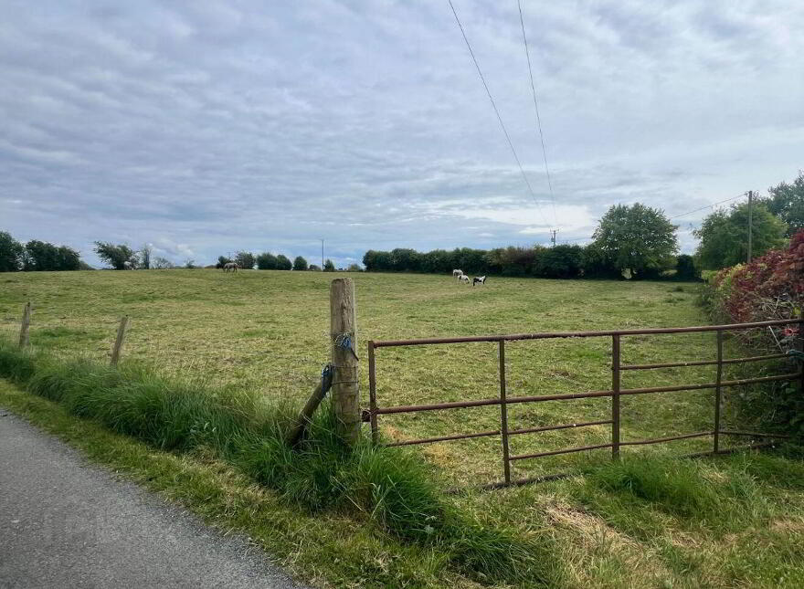 Earlspark, Ballinasloe, Ballydangan, H53T886