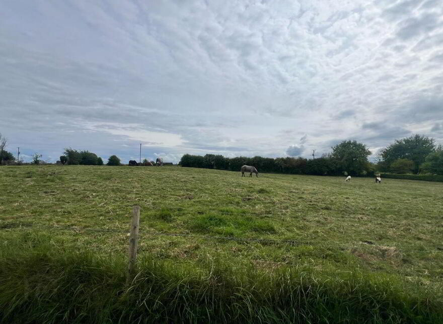 Earlspark, Ballinasloe, Ballydangan, H53T886