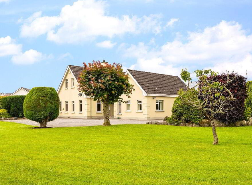 Pheasant's Rise, Ballykealey, Ballon, R93R256