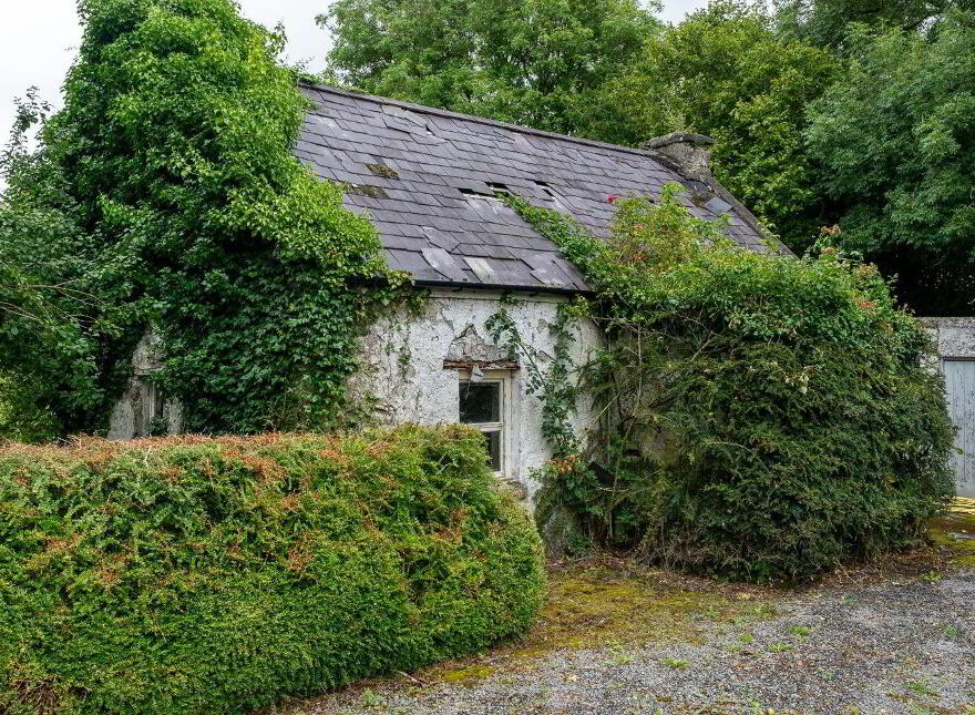 Kilgarve Gardens, Ballinasloe, H53D956