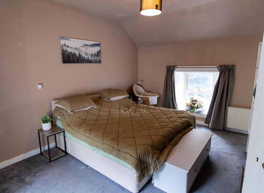 Two Houses On 1.4 Acres At Ervallagh, Ahascragh, Ballinasloe, H53CD39