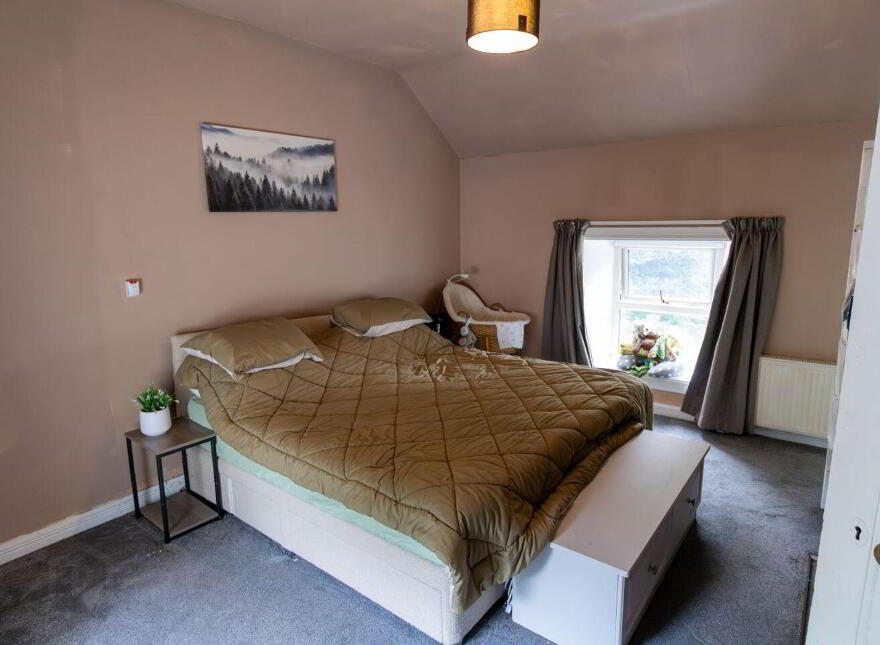 Two Houses On 1.4 Acres At Ervallagh, Ahascragh, Ballinasloe, H53CD39