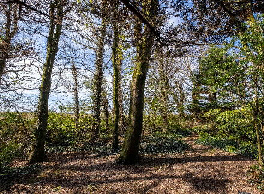 Castlepark House, Clogharevaun, Carrowkeel, H65K003