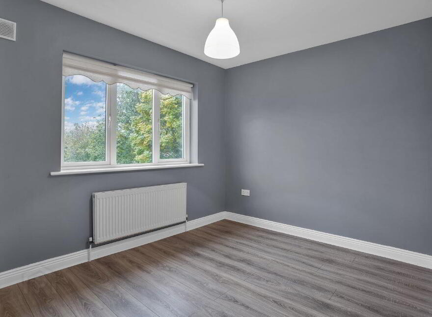 63 Curragh Finn, Kildare, R51D589