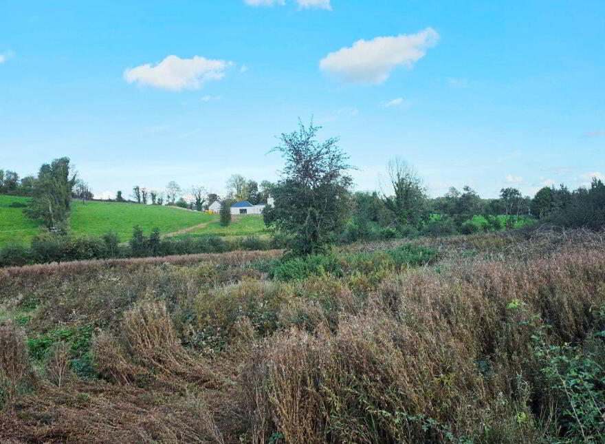 Drumconnick, Cavan, H12EC96