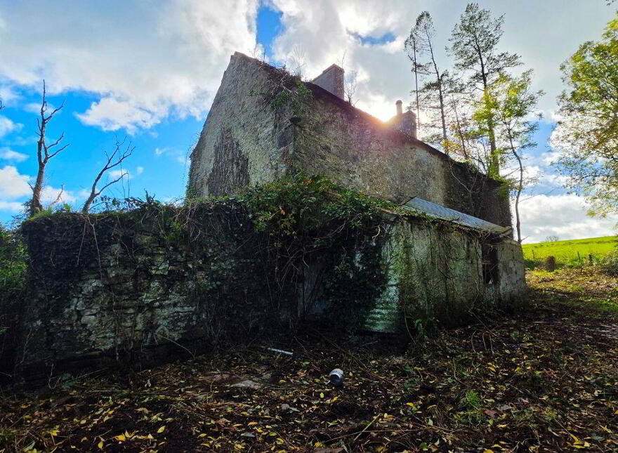 Drumconnick, Cavan, H12EC96