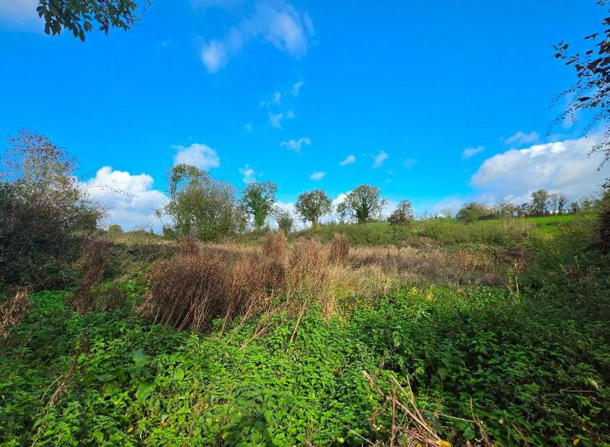 Drumconnick, Cavan, H12EC96