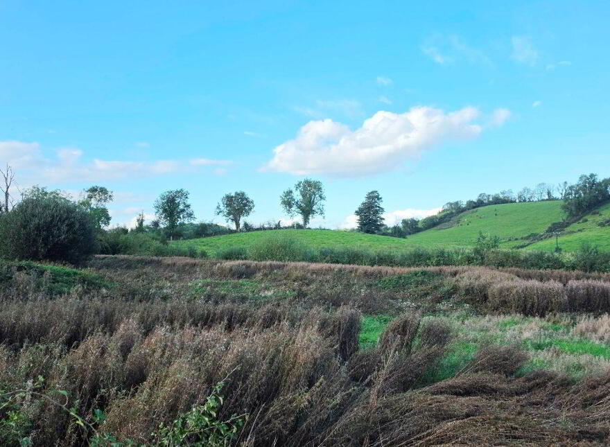 Drumconnick, Cavan, H12EC96