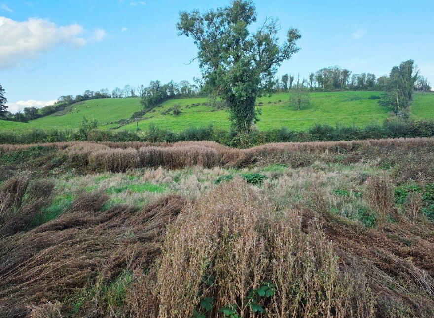 Drumconnick, Cavan, H12EC96
