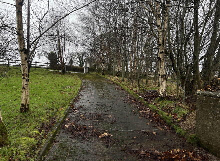 Coill Rua, Dohassan, Cootehill, H12EA39