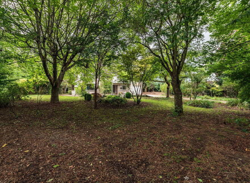 Lissadell, Dublin Road, Naas, W91R2FF