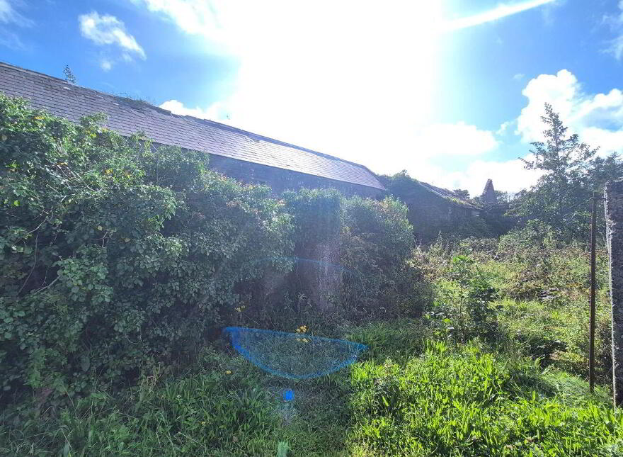 The Mill, Milltown, Milltown, F26D344