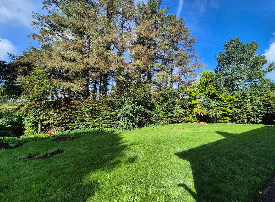 Rathduff, Cloghans, Knockmore, F26Y9E4