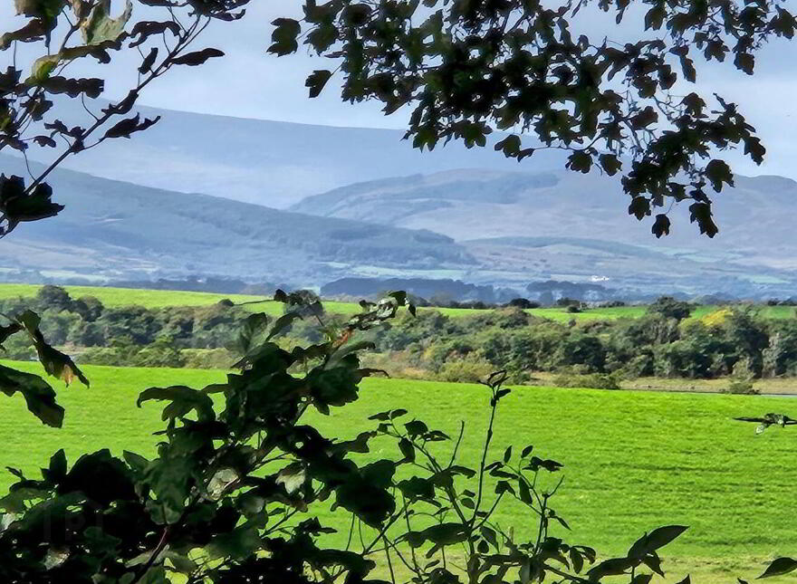Rathduff, Cloghans, Knockmore, F26Y9E4