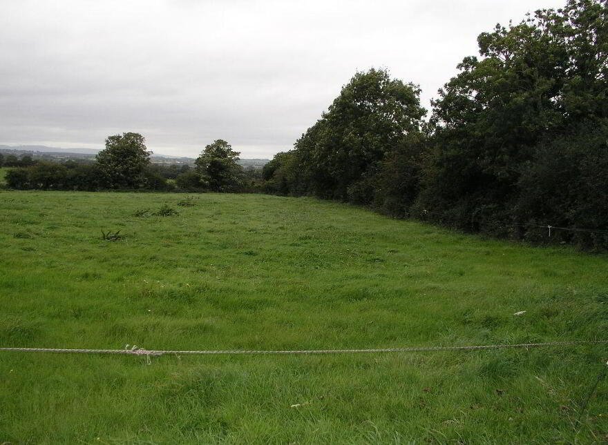 Ballyspellan, Johnstown