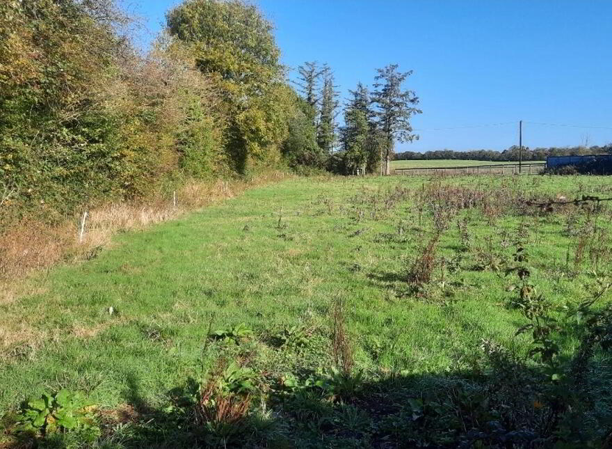 Errill, Rathdowney