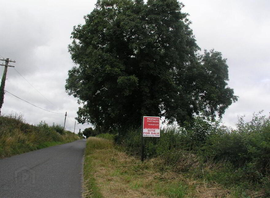 Grantstown, Ballacolla photo