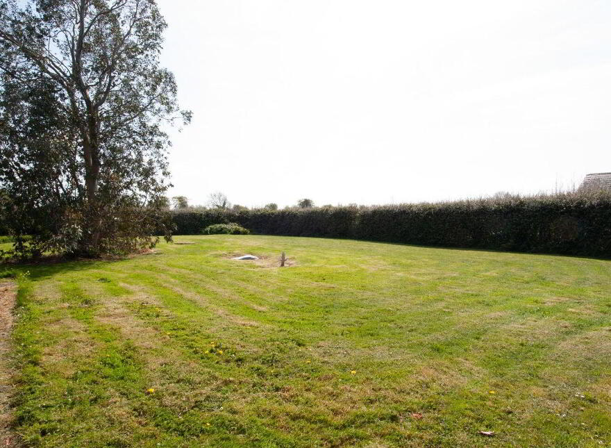 Forchester, Inch, Gorey, Y25XR83
