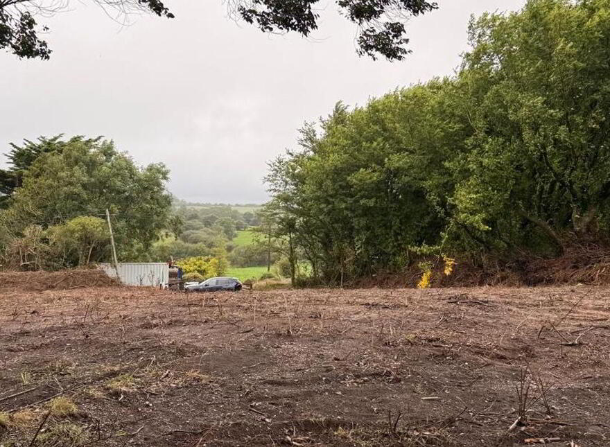 Killincooley Beg, Kilmuckridge
