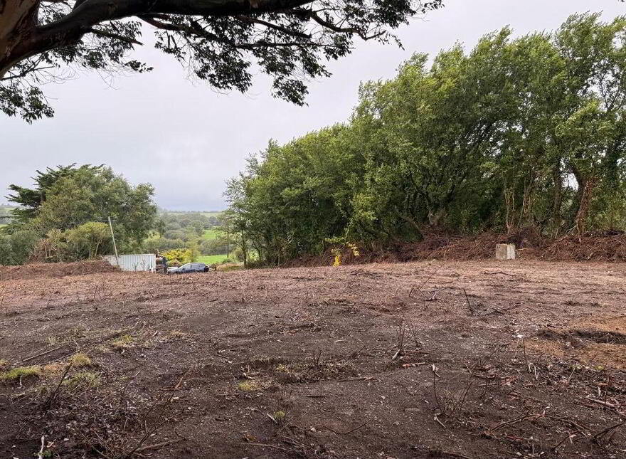 Killincooley Beg, Kilmuckridge