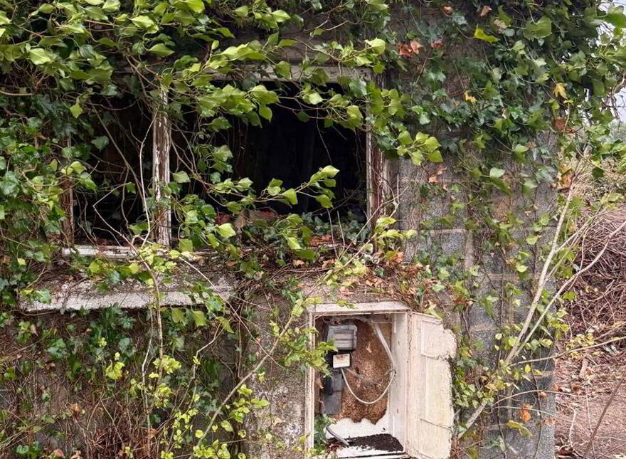 Killincooley Beg, Kilmuckridge