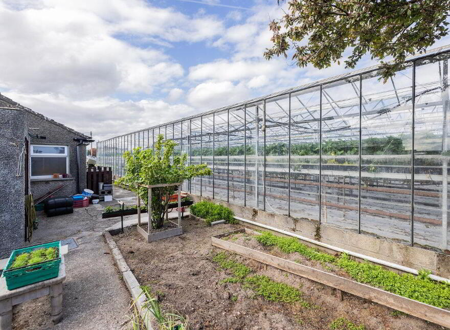 House And Glasshouses, Sundrive Road, Rush, K56FH32
