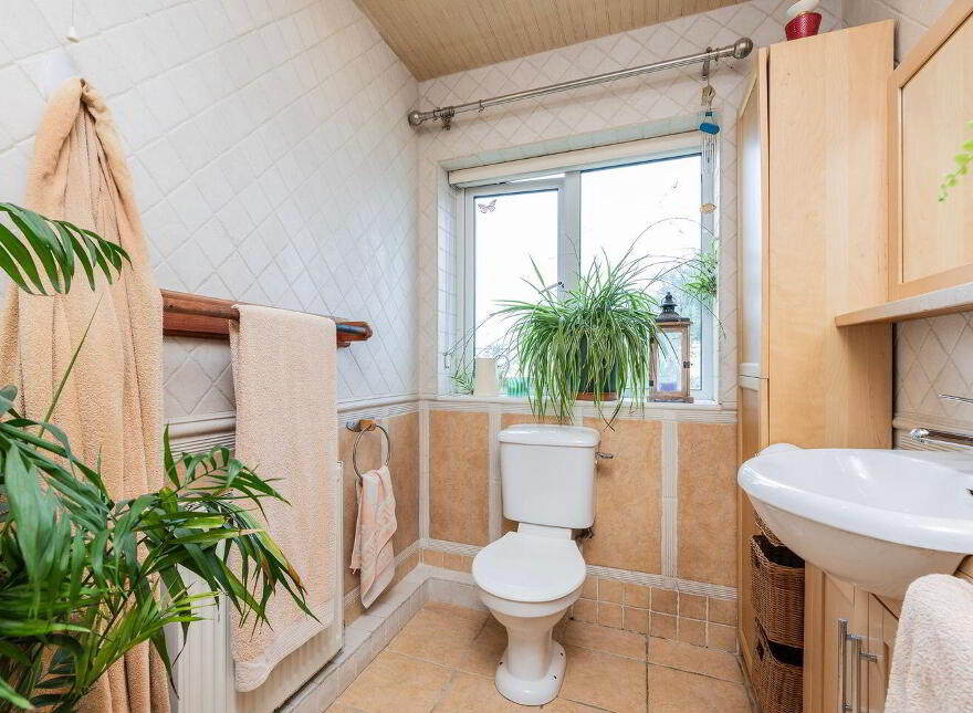 Carrig Ban, Ballykea, Loughshinny, K34VN50