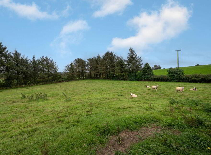 Curraclogh, Lissarda, Lissarda, P14FA02