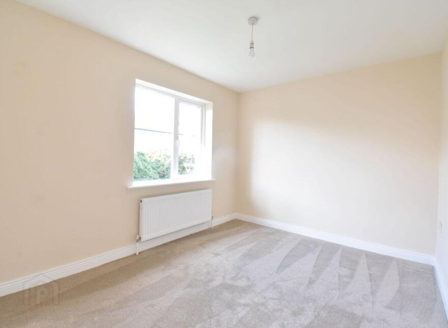 50 Shingán, Milehouse Road, Enniscorthy, Y21Y6Y6