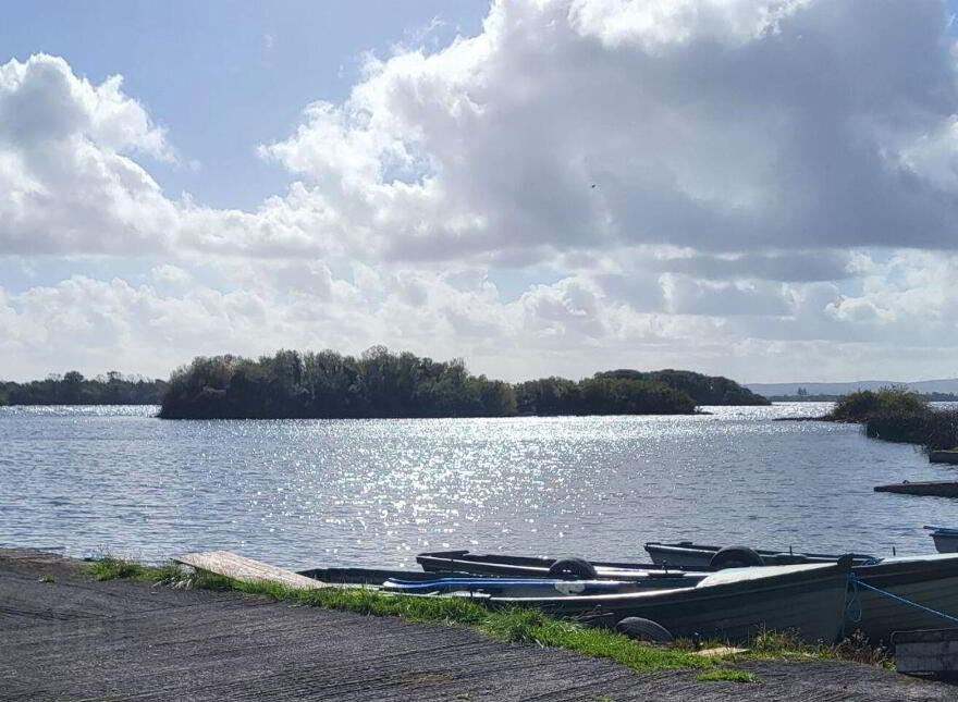 Derry Quay Lodge, Ballymagibbon South, Cross, F12VY04