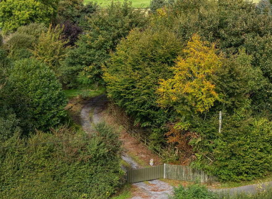 Templeoran, Templeoran, N91PH22