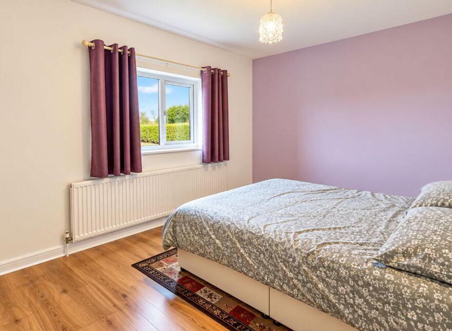 Ballindrumlea, Castlerea, F45VW97