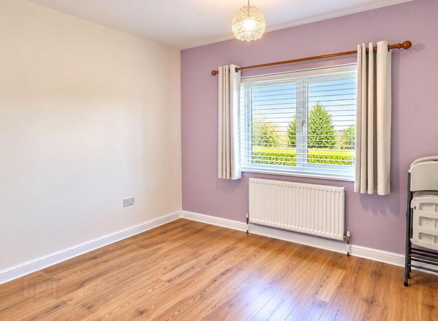 Ballindrumlea, Castlerea, F45VW97