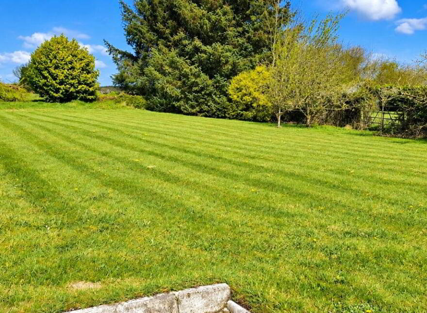 Ballindrumlea, Castlerea, F45VW97