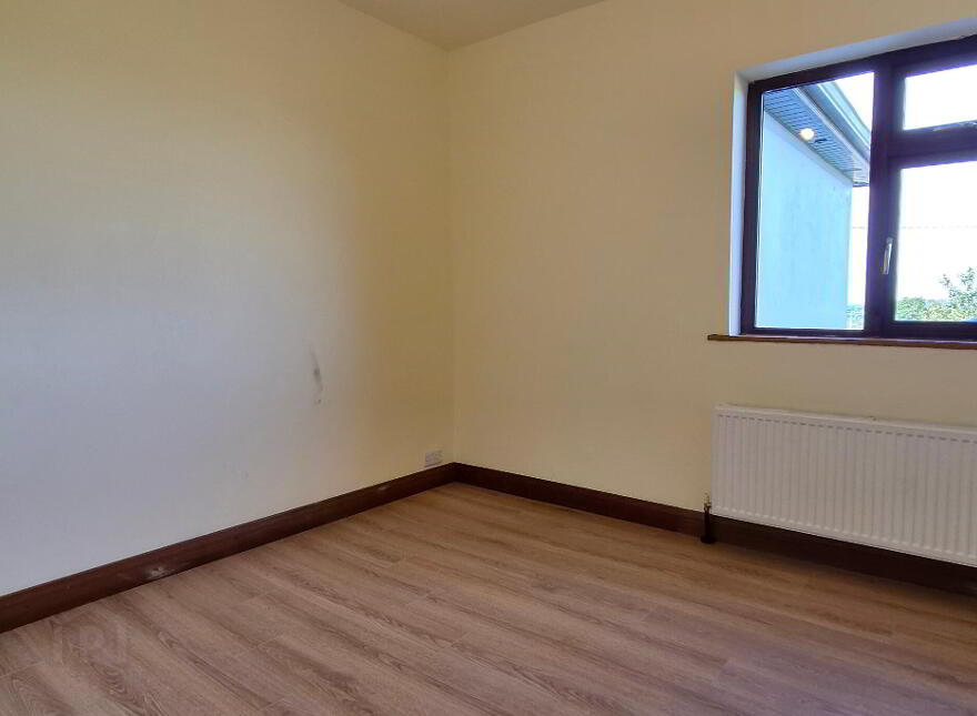 Ballyfeeny, Kilglass, F42KX01